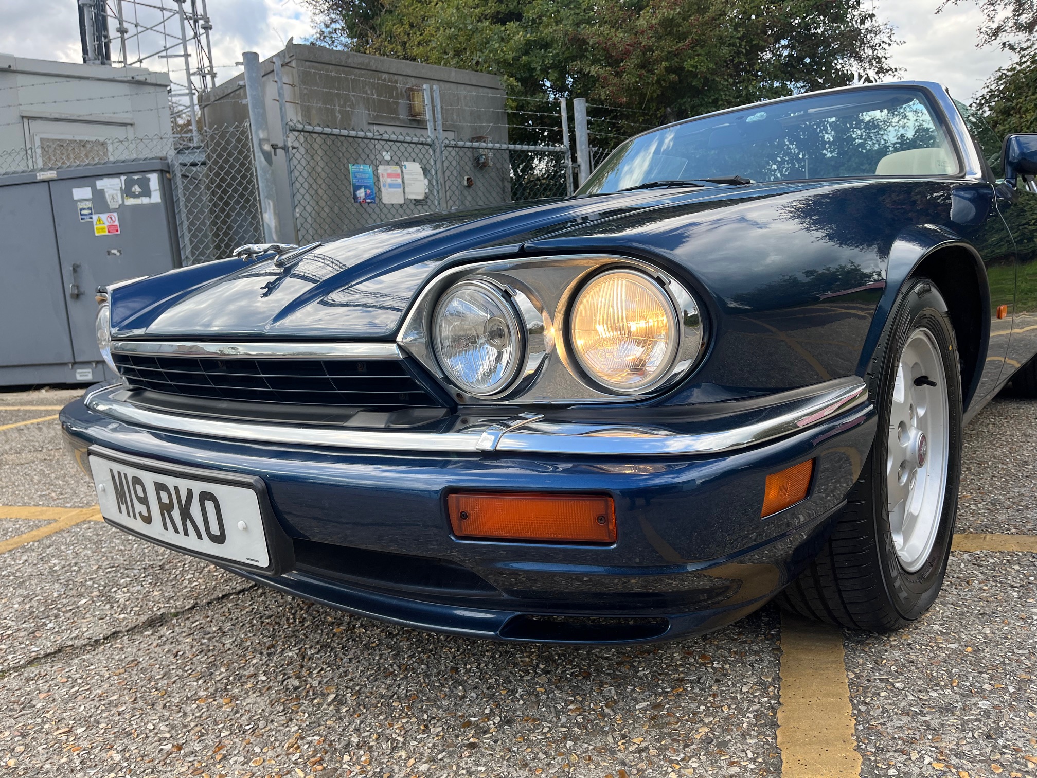 SUPER BEAVER/10th Anniversary Special S… SUPER BEAVER/10th Anniversary Special S… SUPER BEAVER/10th